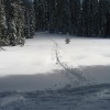 Yosemite cross country skiing trail