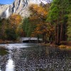 Yosemite foliage