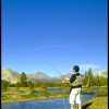 Fly fishing Toulumne Yosemite