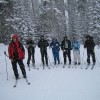 Ski group Yosemite