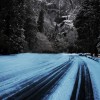 Yosemite road