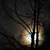 Moonbow