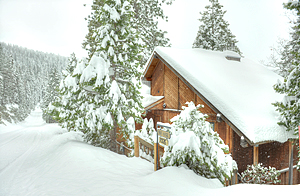 Make your Yosemite reservation with Scenic Wonders.