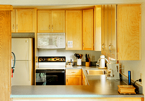 Scenic Wonders offers Yosemite lodging.