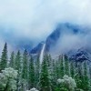 Yosemite accommodations in Spring