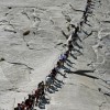 Hiking to the top of Half Dome