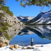 Fewer tourists at Tenaya Lake