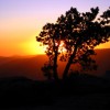 Half Day Hiking Opportunities at Sentinel Dome
