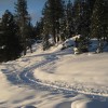 Snowshoeing and Cross-country Skiing Glacier Point