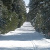 badger pass to glacier point
