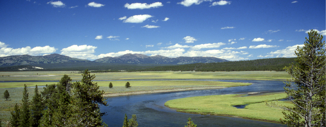 Yellowstone National Park