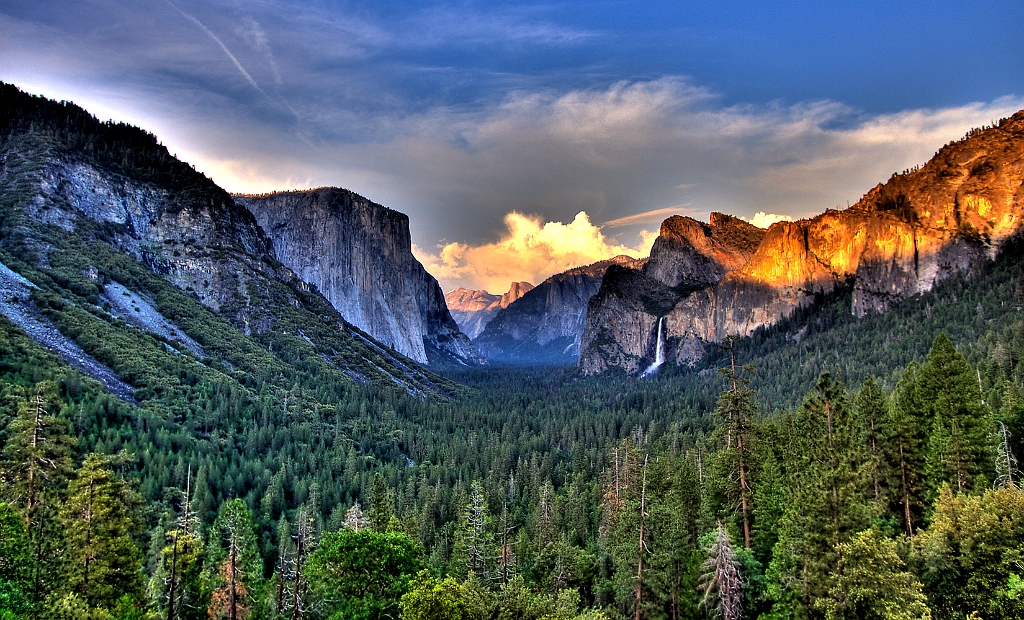 A Natural Cathedral Yosemite National Park Scenic Wonders Yosemite